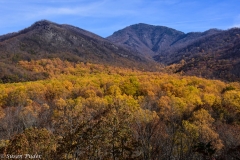 Landscapes