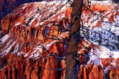 Bryce Canyon National Park