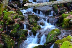 Waterfall, Great Smokies