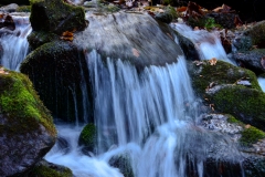 Great Smokies Waterfall