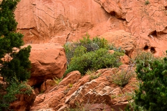 Garden of the Gods