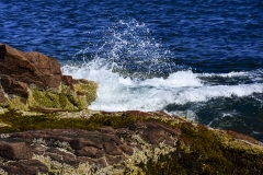Maine Coast