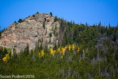 Rockies