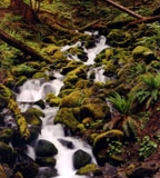 Sol Duc, Olympic National Park